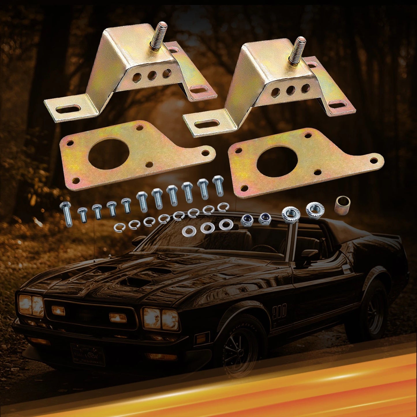 Adapter Plates for Ford Mustang (LS1 LS2 LS3 LS6) (2005–2009)