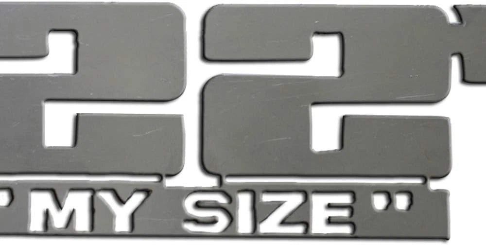2pc Stainless Steel Emblem Set for Luxury FX 22 Inch My Size (2017–2024)