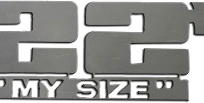 2pc Stainless Steel Emblem Set for Luxury FX 22 Inch My Size (2017–2024)