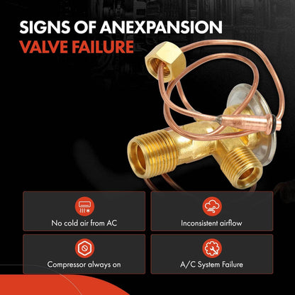 AC Expansion Valve for Chevy Beretta, Corsica, Buick Skylark, Oldsmobile (1987–1996)