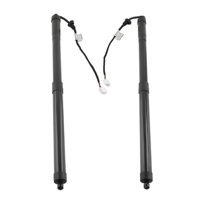 2X Power Hatch Lift Support for Lexus RX 350 (2016–2019)