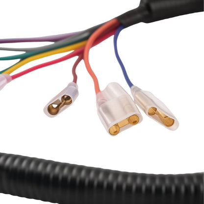 Electrical Harness for Honda CT90 Trail 90 (1970–1972)