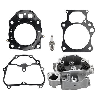 Cylinder Head Valves Kit for Honda Rancher 420 TRX420FPA (2009–2014)