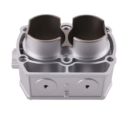 Cylinder Assembly for Polaris Ranger RZR Sportsman 800 (2003–2017)