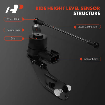 2X Front Side Ride Height Level Sensor for Chevy Silverado 1500 (2014–2019)