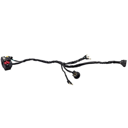 Kill Switch Set for Honda TRX 300EX 1999–2004 (ATV)