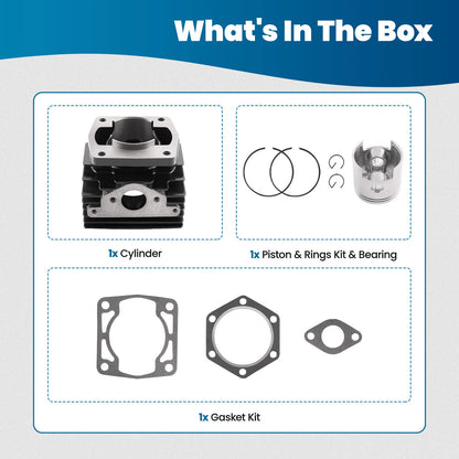 Engine Cylinder & Piston Rebuild Kit for EZGO 1976–1988 2 Cycle 244CC