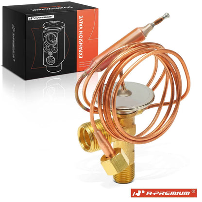 A/C Expansion Valve for Buick Skylark (1994–1998)