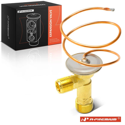 A/C Expansion Valve for Chevrolet Lumina APV Olds Silhouette (1994–1996)