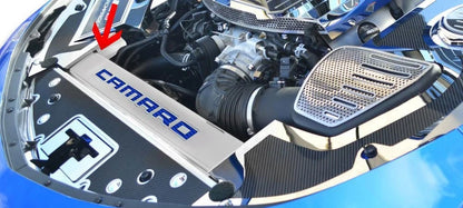 Carbon Fiber Front Header Plate with Vinyl Insert for Chevrolet Camaro (2016–2020)