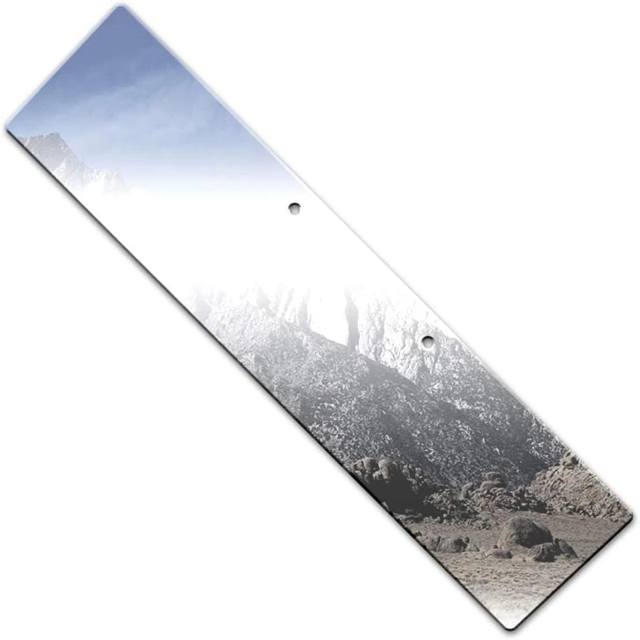 License Plate Bezel Chrome Trim for Dodge Magnum (2005–2008)