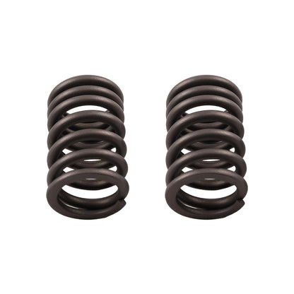 Cylinder Head Gasket, Intake & Exhaust Valve Seals Kit for Honda TRX250TM (2002–2020)