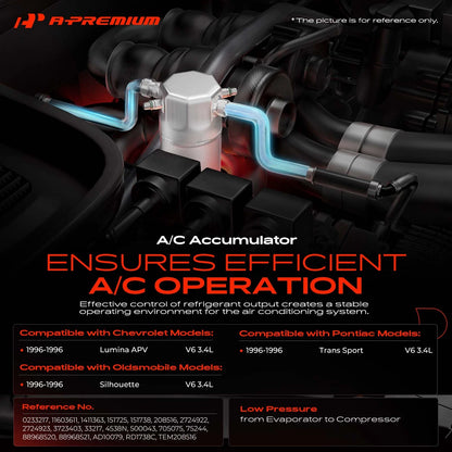 A/C Receiver Drier for Chevy Lumina APV Olds Silhouette (1996)