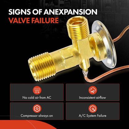 A/C Expansion Valve for Cadillac Buick Chrysler Dodge GMC
