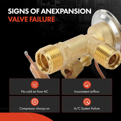 A/C Expansion Valve for Buick Skylark, Chevy Beretta, Olds Achieva (1994–1998)