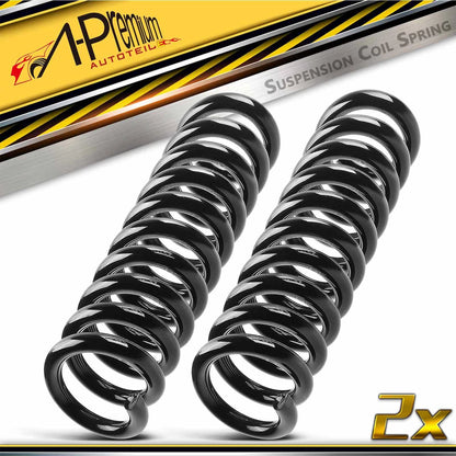 2X Rear Coil Springs for Chrysler 300, Dodge Magnum (2005–2008)