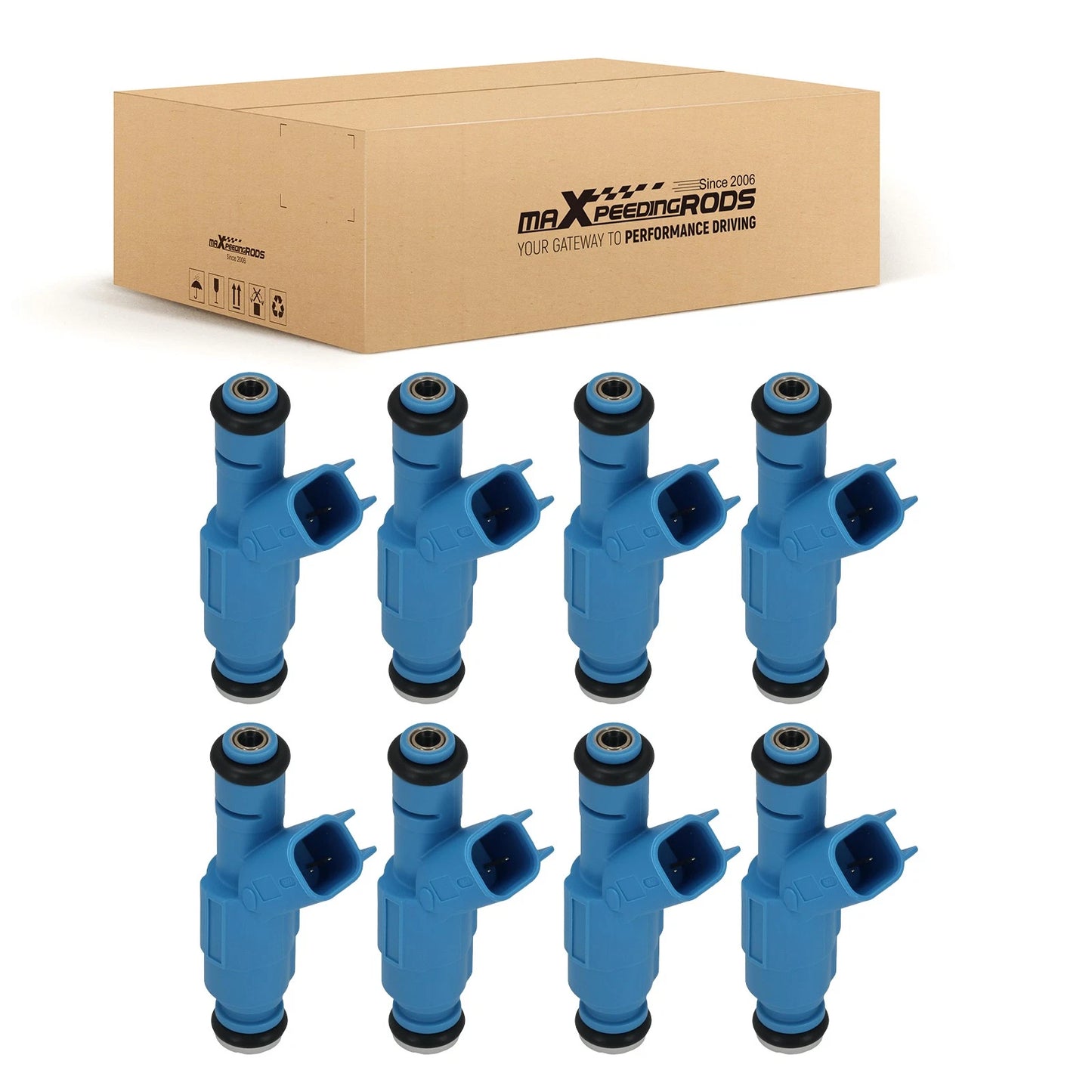 Fuel Injector Kit for Ford F-150 4.6L (2009–2010)