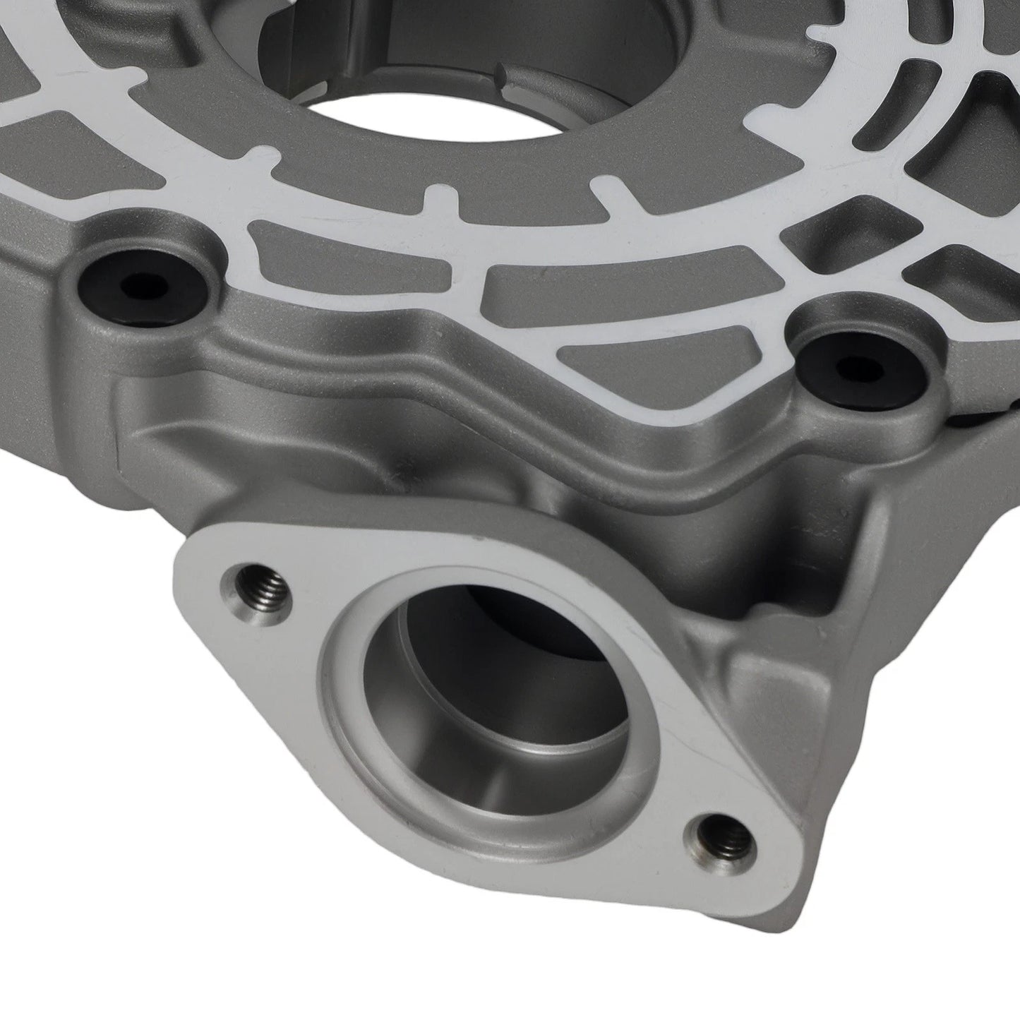 Engine Oil Pump for Ford F-150 Mustang (BR3Z6600A) (2011–2014)