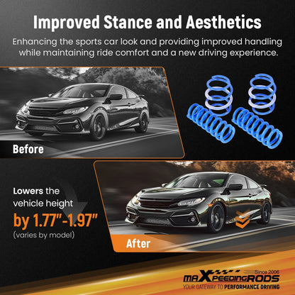 Lowering Springs for BMW 1 Series Hatchback (2011–2019)