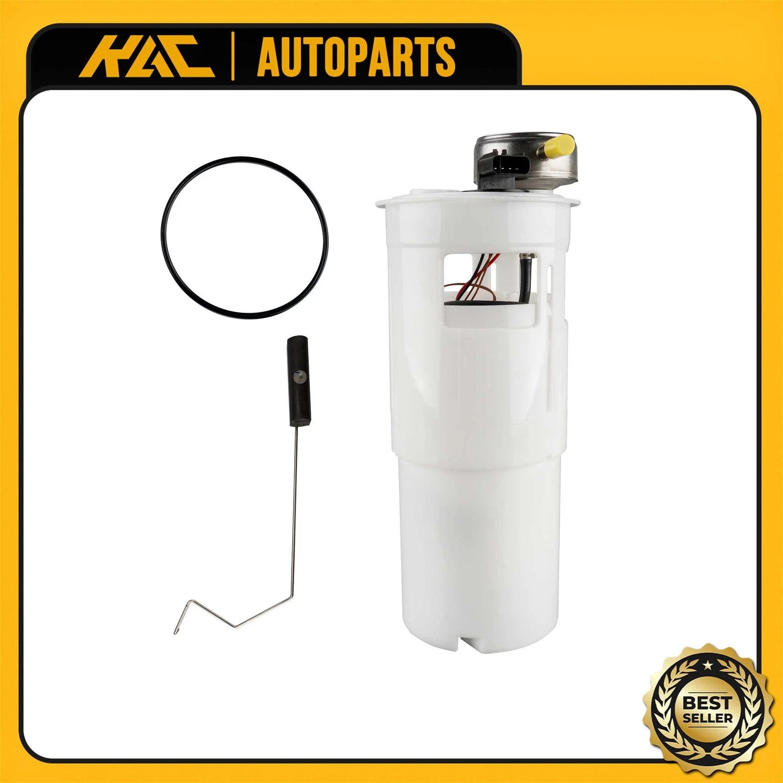 Fuel Pump Module Assembly for Dodge Ram 1500 (2002–2003)
